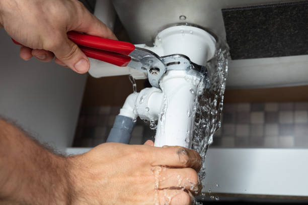Best Carpet water damage restoration  in Bonita Springs, FL