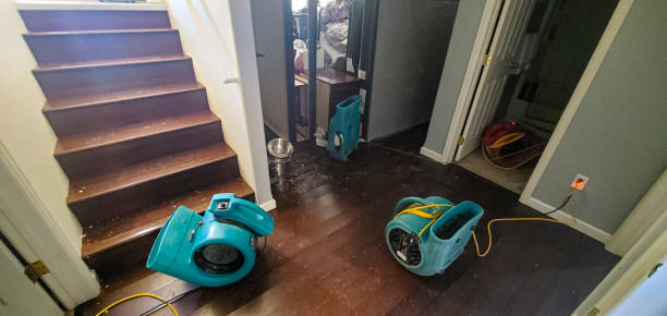 Best Mold removal after water damage  in Bonita Springs, FL