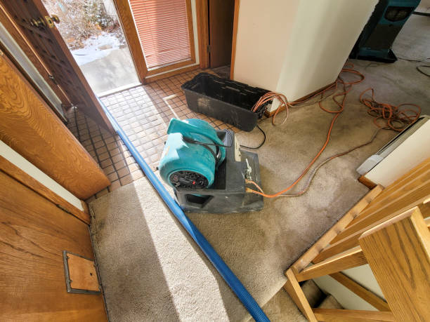 Best Water damage contractors near me  in Bonita Springs, FL