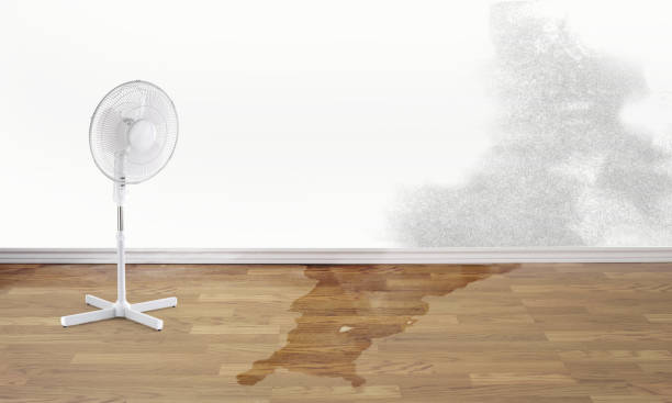 Best Professional water damage repair  in Bonita Springs, FL
