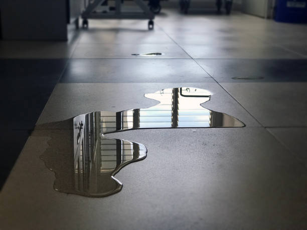 Best 24-hour water damage restoration  in Bonita Springs, FL